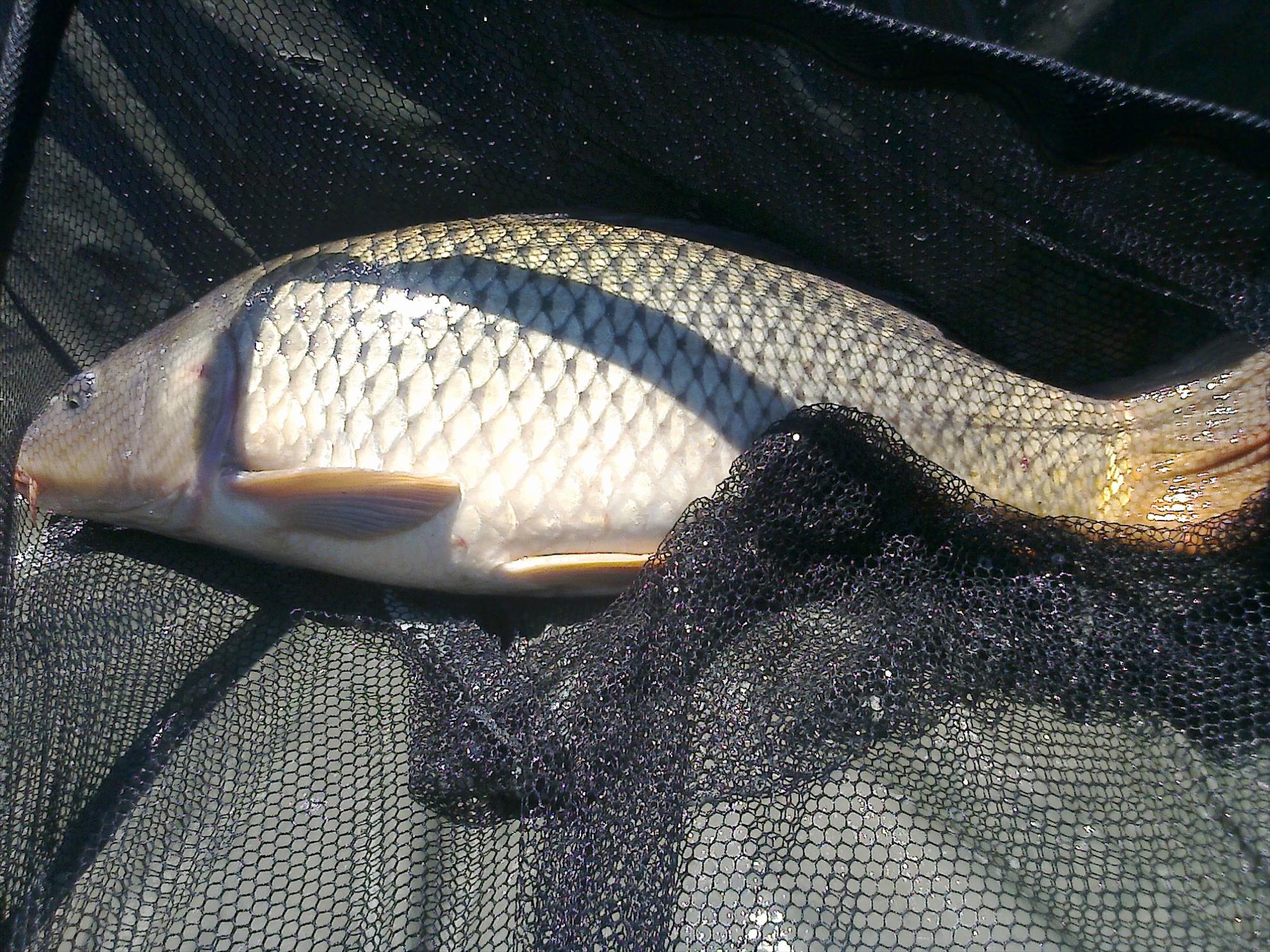 MV 2 - 25.SEPT.2014 - fotografie0010.jpg